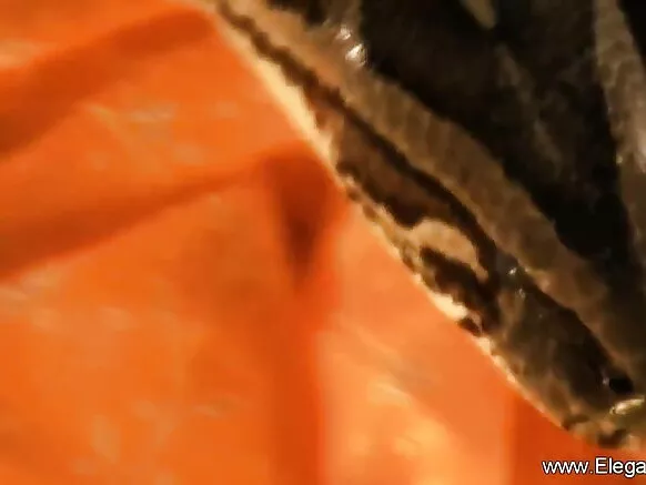 एगो सेक्सी वीडियो फिल्म में बॉलीवुड के नंगा अंतरंग शो