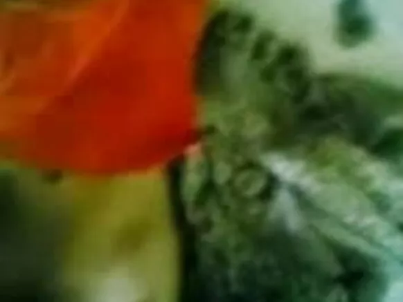 मीठा टास्क शो आ सास के चूत - जेपी शो स्पेशल सेक्सी फिल्म नग्न फिल्म