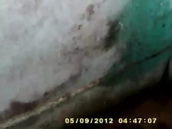 चाची भारत 1248 छवि नीले भारतीय प्रेमी सेक्सी चाची