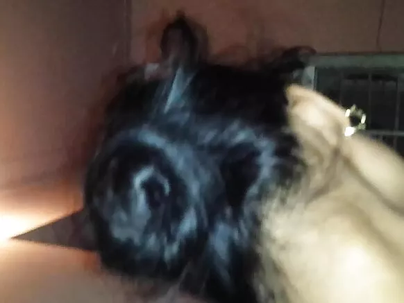 भारतीय सेक्स सेक्स के फोटो बा