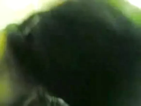 भारतीय सेक्सी फिल्मन के बढ़िया नया भारतीय वीडियो।