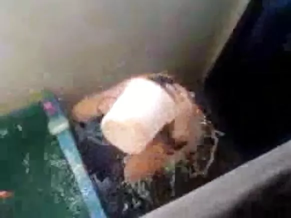 दू गो नौकरानी सेक्सी शो में दृश्यरतिक शावर दृश्यरतिक शावर देखावत बाड़ी