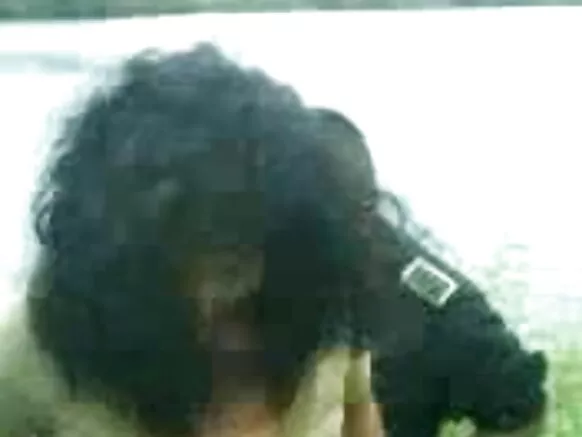 देसी सेक्सी फिल्म सेक्सी फिल्म भारत मेक्सिको लड़की