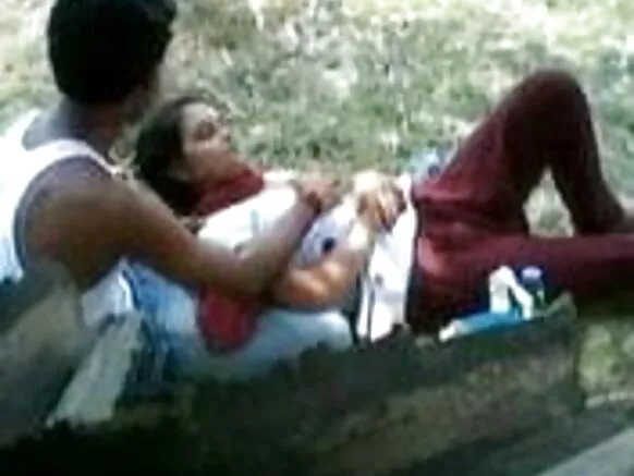 भारतीय जोड़ी, पार्किंग, में, पार्क, भारतीय, हिंदी, नीला, छवि