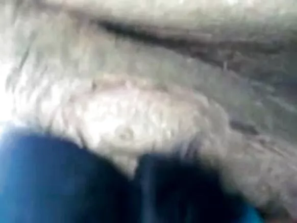 भारत चाची हिंदी एचडी सेक्सी फिल्म 1335