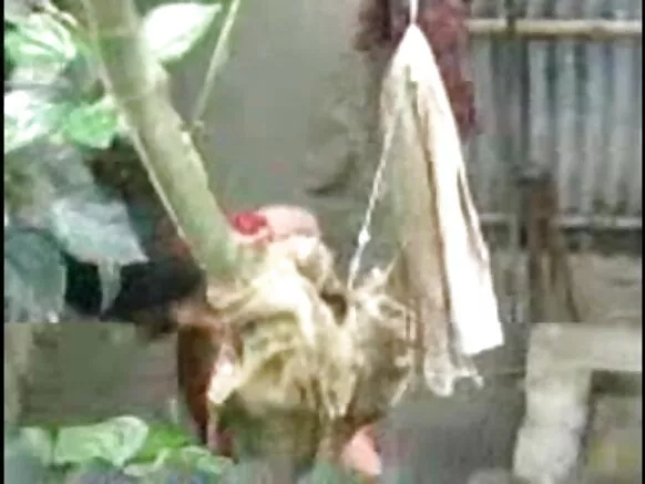 देसी लड़की नहाती देसी आउटडोर सेक्स फिल्म वीडियो आउटडोर