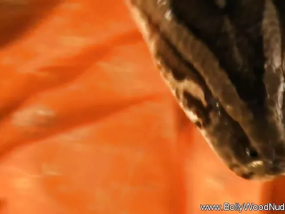 सेक्सी फिल्म बॉलीवुड जानवर वाला के राज बताती प्यारी महिला