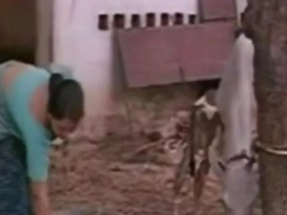 देविका एचडी हिंदी सेक्सी फिल्म भारतीय मोबाइल फिल्म में