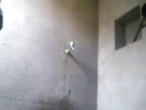 बांग्ला लड़की 29 मोबाइल चचेरा भाई सेक्सी वीडियो हिंदी द्वारा छिपा कैमरा देख